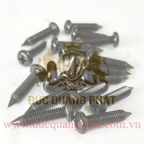 Vít Tròn Đầu Nhọn ( Pake)