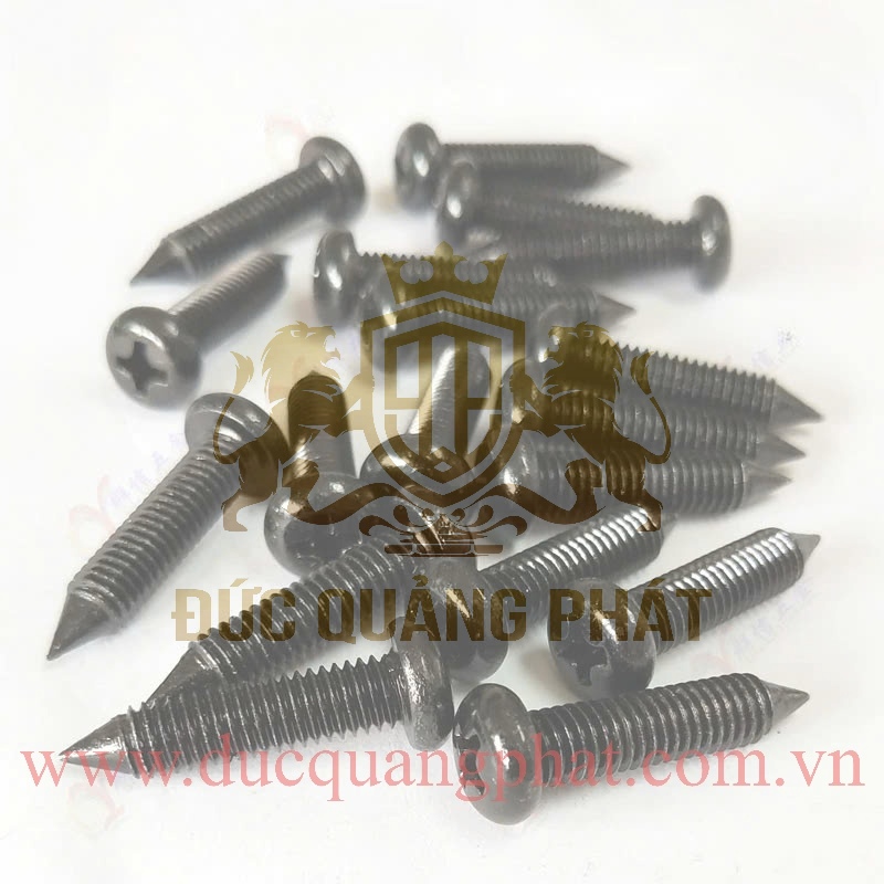Vít Tròn Đầu Nhọn ( Pake)